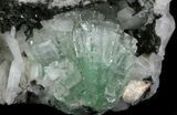 Green Apophyllite Crystals With Stilbite - India #34065-1